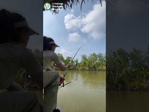 Dây DF câu cá. Chắc. Khoẻ. Bền | VY HAN FISHING