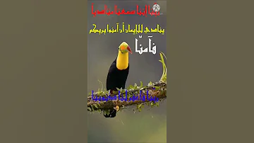 ربنا إننا سمعنا مناديا الشيخ عبدالباسط عبدالصمد 