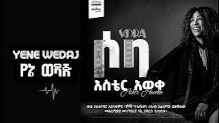 Aster Aweke - Yene Wedaj (የኔ ወዳጅ) New Ethiopia Music Album 2023