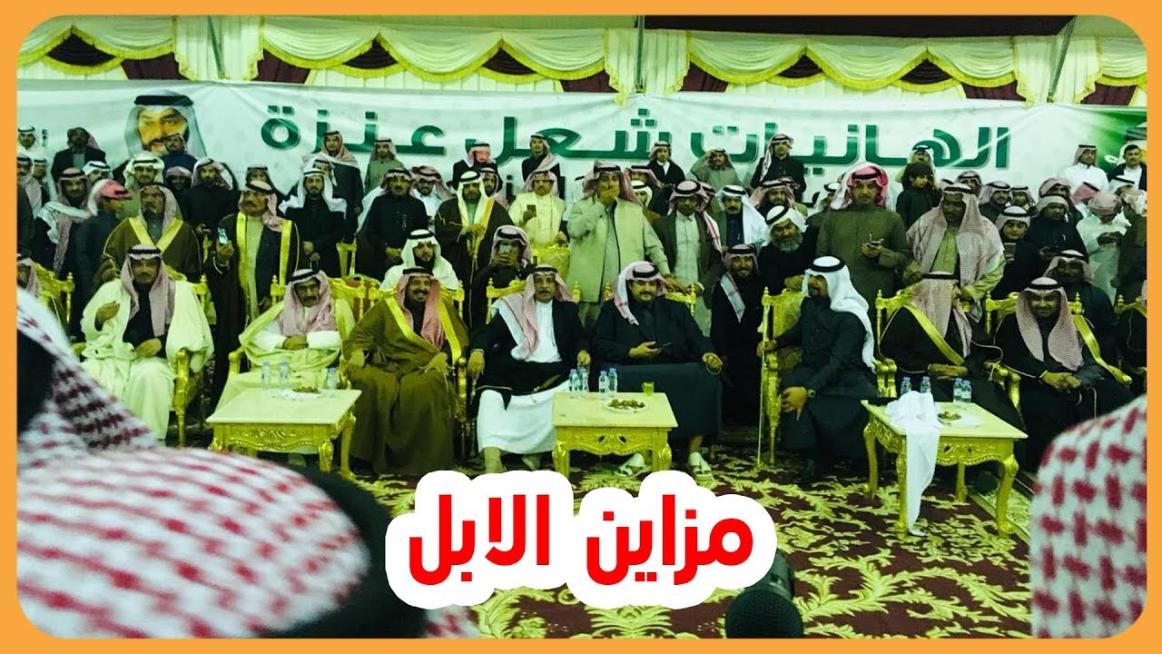 مشاركة الامير ناصر بن نواف في حفل مهنا العنزي بمزاين الابل