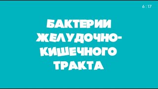 Бактерии желудочно - кишечного тракта | Эстонский музей здравоохранения