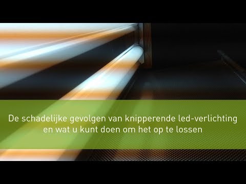 Video: NY Verbindt Zich Ertoe Lichten Uit Te Doen Om Migrerende Zangvogels Te Helpen