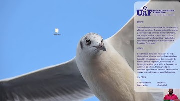 Simulador de Proceso Windows java