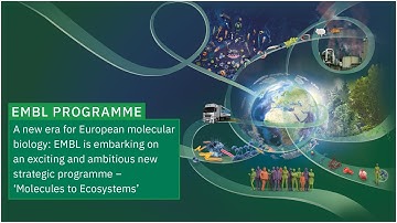 A new era for European molecular biology: EMBL is embarking on a new strategic programme