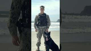 Be a Navy Dog Handler
As a Navy Master-at-Arms, your summer looks like traveling the world and working with dogs all day #k9unit #navyjobs #shorts Be a Navy Dog Handler
