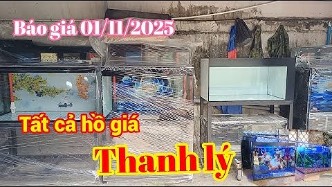 THANH LÝ TẤT CẢ NHỮNG BỘ HỒ ĐANG CÓ - NHANH TAY ĐÓN VỀ CHƠI CÁ.