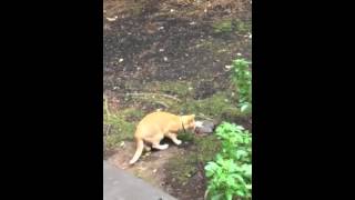 IMG 3774