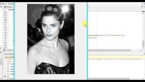 MATLAB code of face eyes nose and mouth detection