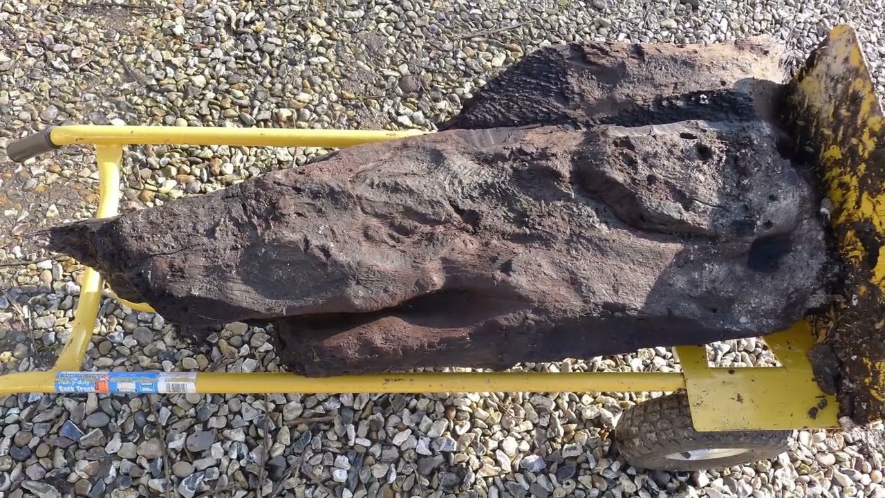 'Remarkable' discovery as 6000 year old carved wood is the oldest ever found