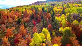 SAMPLE Fall Colors 2017 at Bear Lake via Drone Profile