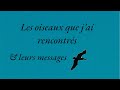 Les oiseaux que j’ai rencontrés & leurs messages ✨🪽