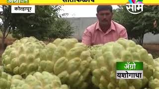 Amol Chaughule's custard apple farming success story