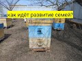 Как идёт развитие семей