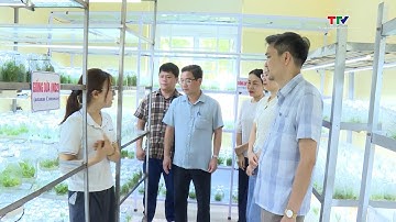 Ứng dụng công nghệ nuôi cấy mô sản xuất giống cây