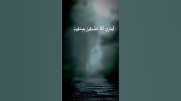 {من المؤمنين رجال صدقوا} القارئ بدر التركي #تلاوة_خاشعة #اكسبلور #المصحف#راحة_نفسية