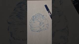 Hampter #hamster #drybrush