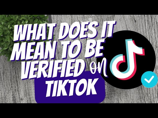 How To Get Verified On TikTok in 2020 ✔️ Popular Creator 