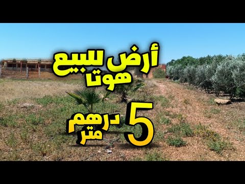 أرض للبيع هوتا 5 درهم متر فرصة و مناسبة
