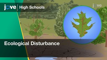Ecological Disturbance | Bio | Video Textbooks - Preview