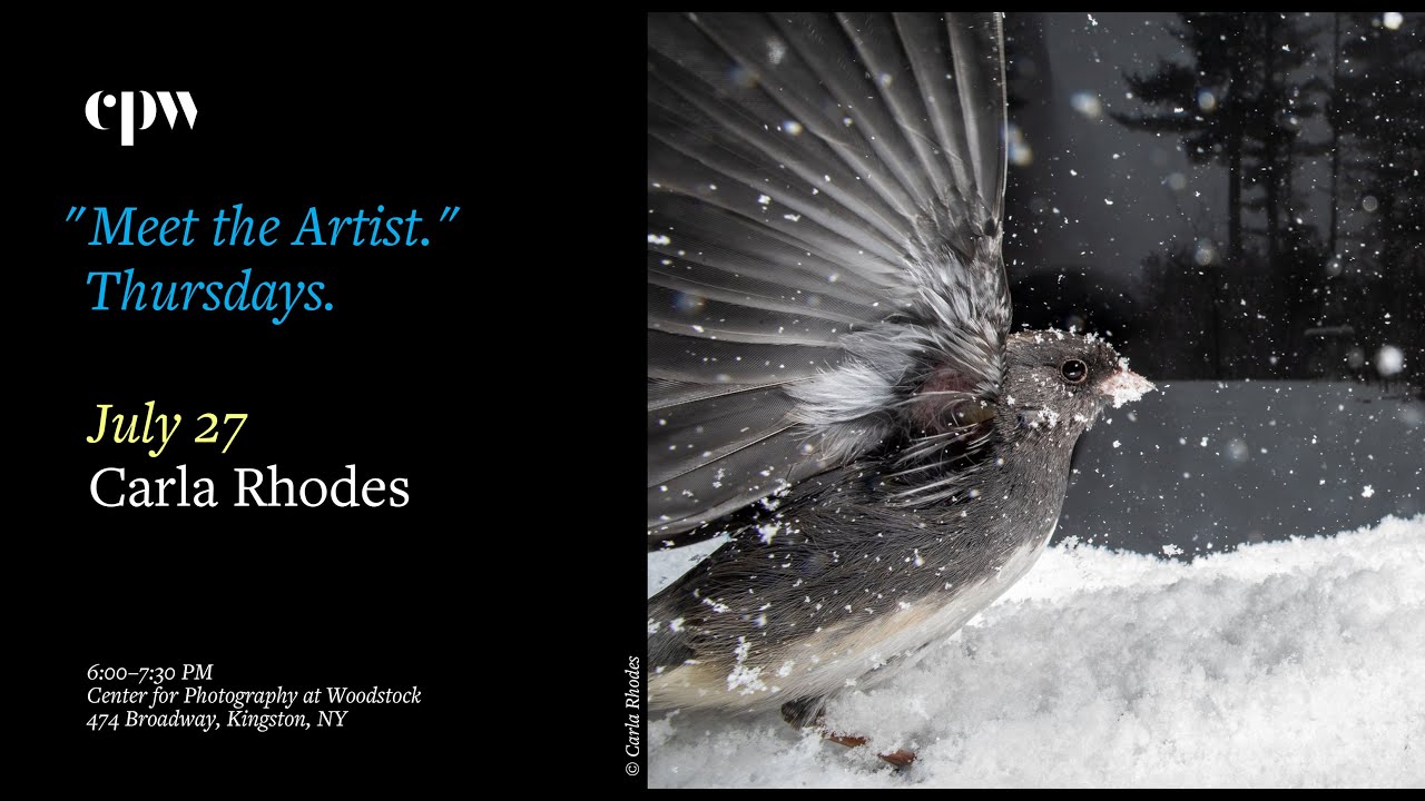 "Meet the Artist" with Carla Rhodes