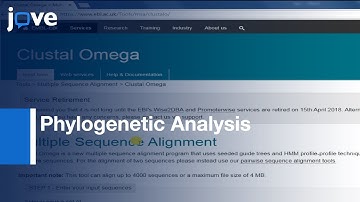 Phylogenetic Analysis to Investigate Eukaryotic Gene Origin | Protocol Preview
