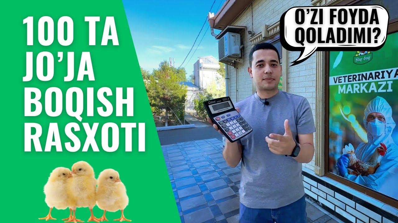 😮 Hammasini Xisobladik | 100 ta Jo'ja Boqish Qanchaga Tushadi?