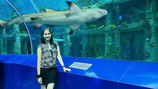 Aquatic gallery | science city | Ahmedabad | Gujarat