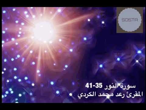 سورة النور 35 41 المقرئ رعد محمد الكردي