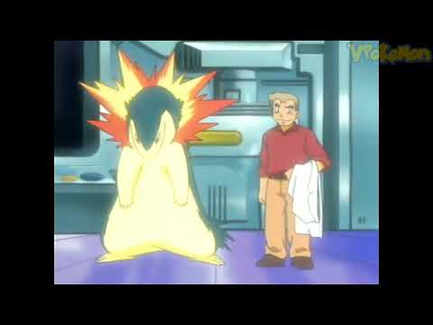 Video Typhlosion attacks Professor Oak | Professor Oak Funny... - youtube