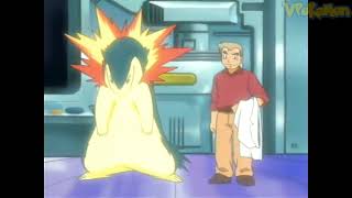 Typhlosion Attacks Professor Oak Professor Oak Funny Moments