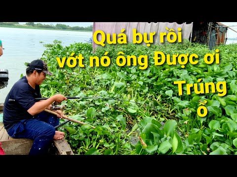 Video Câu cá ăn tết P1: Săn cá tra vồ đém, câu tôm Sông Tiền... - youtube