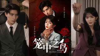 【完整版】李柏言&郭馨钰《笼中之鸟》复仇心理咨询师VS霸道哥哥VS表面温顺实则表态疯批弟弟,为求真相,以身入局,兄弟竞争!#短剧 #完結 #蔓蔓書屋 #大结局