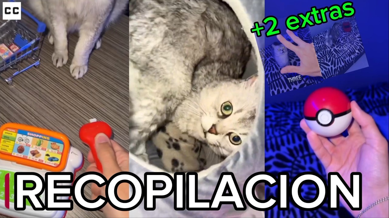 Latest Title & Thumbnail
