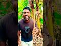 Little Brother Reveals His Funny Trick! 😱😂Little Brother Reveals His Funny