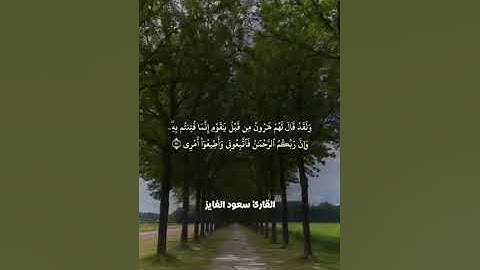 القارئ سعود الفايز (وما أعجلك عن قومك ياموسى [ طه: 83]