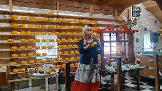Download Lagu Cheese-making in Dutch Village, Zaanse Schans, HOLLAND.                           #holland #cheese MP3