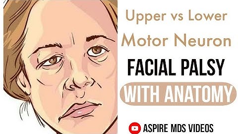 Facial Palsy | Upper vs Lower Motor Neuron | Facial Nerve Anatomy | Dr Bhaumik Joshi | Aspire MDS