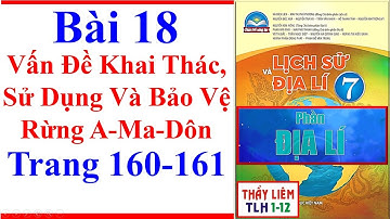 Địa Lí Lớp 7 Bài 18 | Vấn Đề Khai Thác Sử Dụng Và Bảo Vệ Rừng A-Ma-Dôn Trang 160 Chân Trời Sáng Tạo