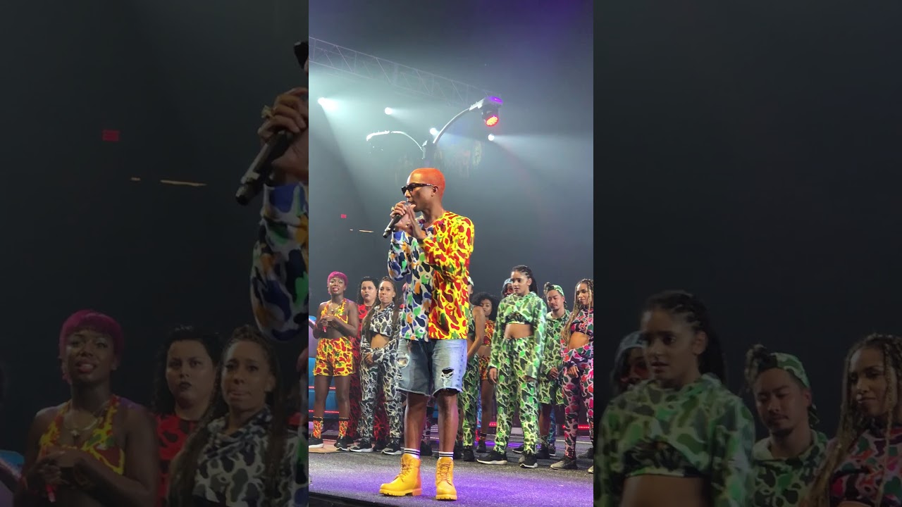 N.E.R.D. - Secret Life Of Tigers (ComplexCon 2017)