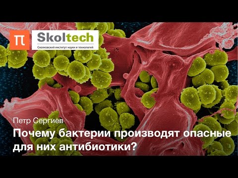 Видео: Как действат антибиотиците? Колко време отнемат на работа и повече