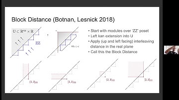 Killian Meehan (7/6/2020): Comparative Stability of Two Zigzag Bottleneck Distances