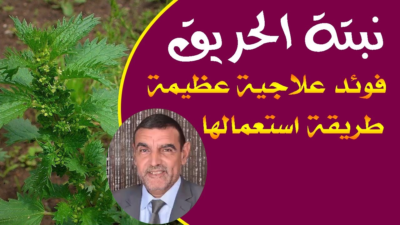 هبة ربانية  تحل الكثير من المشاكل المستعصية مع الدكتور محمد الفايد