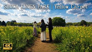 [4K] Showa Kinen Park: Immersive Walk in Nanohana Flower Fields | Tokyo Walk - Apr 2026