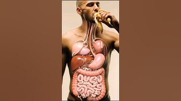 Inside Your Gut: 3D Animation of Banana Digestion & Parasite Worms