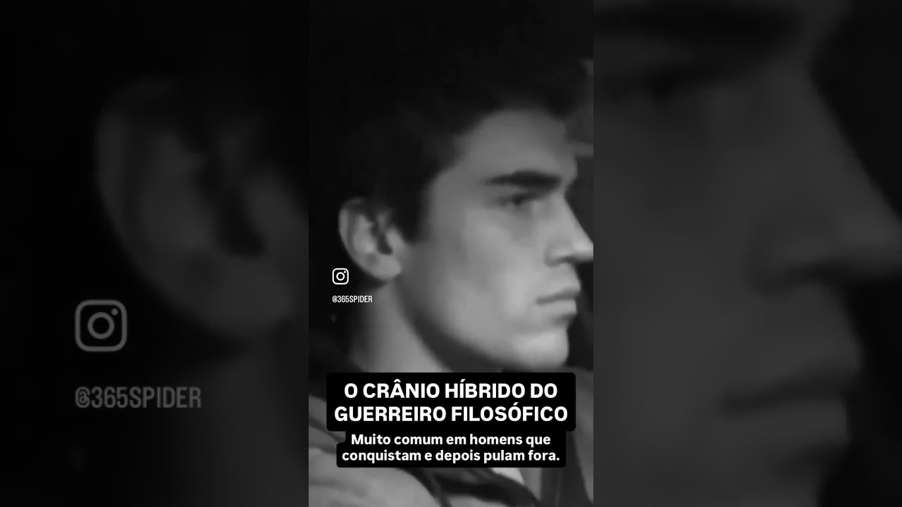 A testa é média quadra em rampa, a nuca é mediana, olhos de pastor com traços de caçador, corpo de