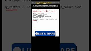 PostgreSQL Backup &amp; Restore in Linux | pg_dump and pg_restore Explained #tech #shorts