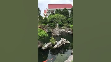 Hồ cá koi và hòn non bộ cho sân vườn biệt thự || Đá Tự Nhiên Trang Trí