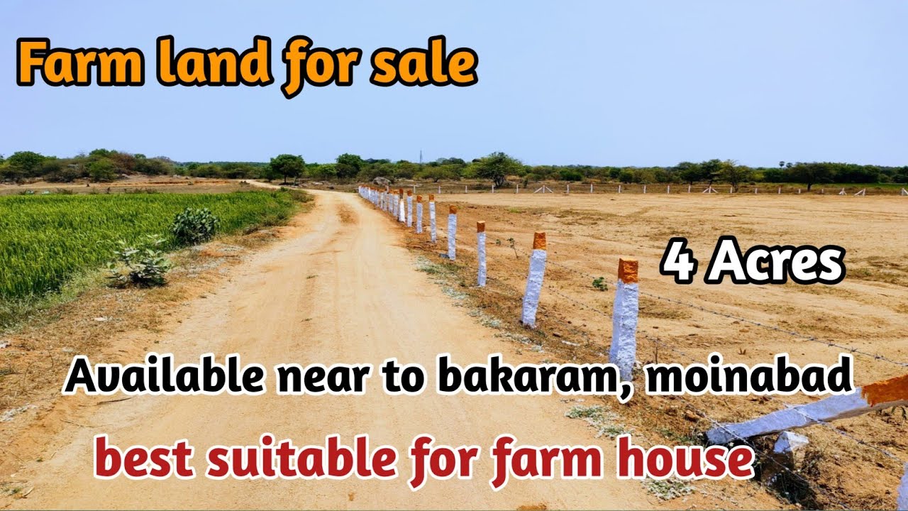 Farm land for sale 4 Acres best suitable for farm house land