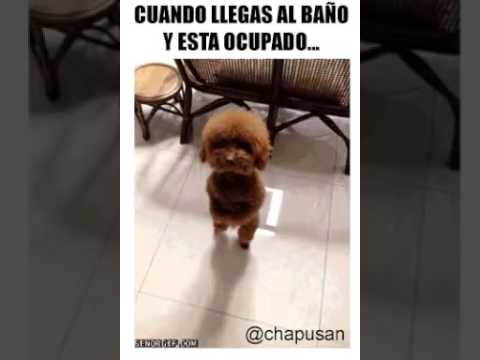 Cuando tienes ganas de ir al baño..y esta ocupado😣