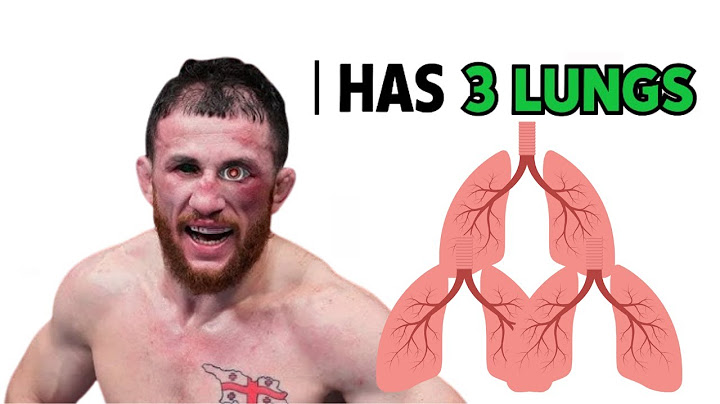 Merab Dvalishvili Has 3 Lungs - His Cardio = Cheat Code